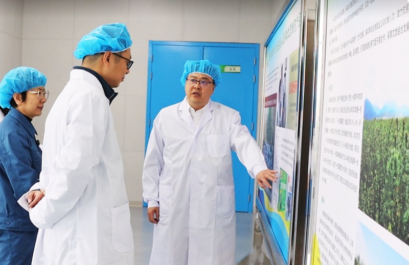 259713@2510_1501957743, 5.jpg*